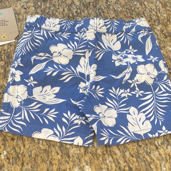 Boys Size 2T Bundle - Hurley, Billabong, Looney Toons, and Maximus Rex -NWT - Picture 7 of 14